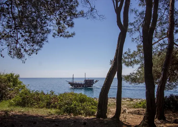 Koversada 브르사르