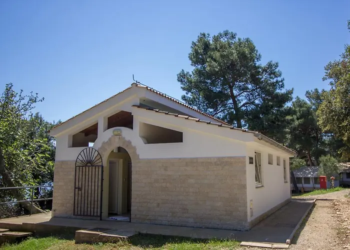 Koversada 브르사르