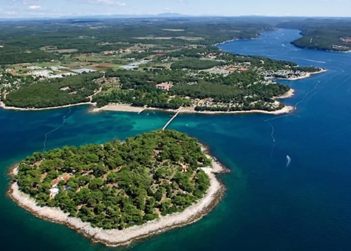 Koversada 브르사르